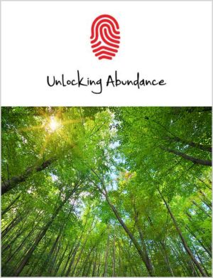 Unlocking Abundance
