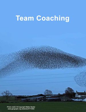 team coaching