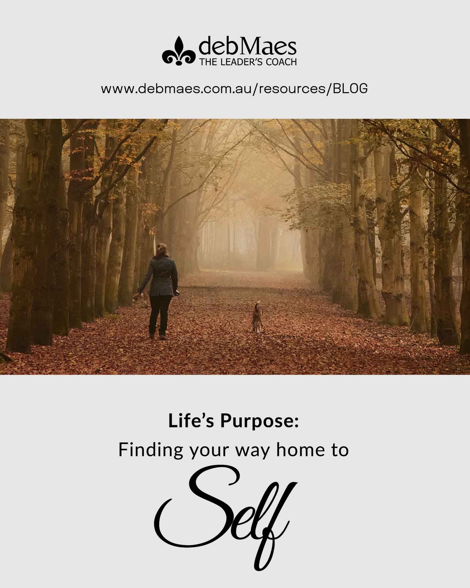 Life’s Purpose: Finding Your Way Home To Self